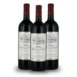 dégustation verticale château haut de la bécade vin de pauillac