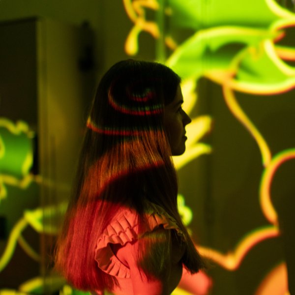 L'Odyssée de la Rose à Pauillac, dans le Médoc - une visite immersive son et lumière autour du vin et de la vigne pour toute la famille 