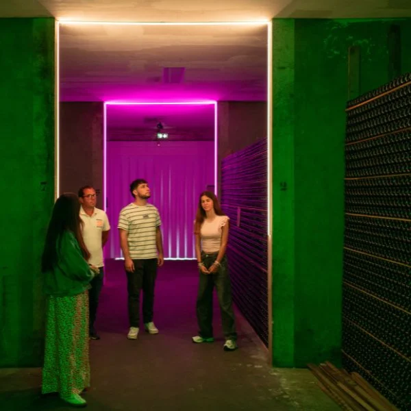 Odyssée visite groupes L'Odyssée de la rose visite immersive en son et lumière autour du vin en français et en anglais près de Bordeaux.
