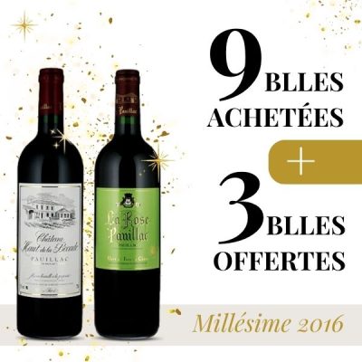 9 blles + 3 offertes millésime 2016 - vins de Pauillac
