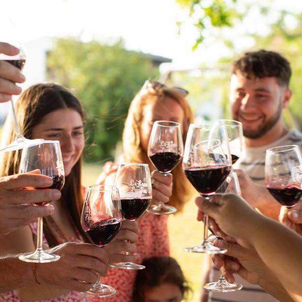 La Rose Pauillac, grand vin de Pauillac et grand vin du Médoc au meilleur rapport qualité-prix direct producteur.