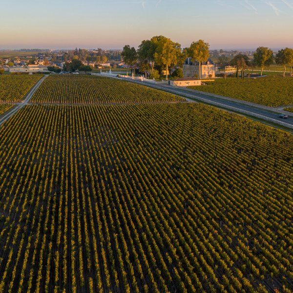 route des chateaux drone la route des châteaux mène directement depuis Bordeaux à la ville de Pauillac et ses grands vins.