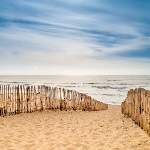 cote atlantique La Rose Pauillac propose une activité oenotouristique à proximité des plages de la côte atlantique.